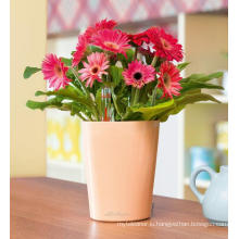 (BC-F1046) Fashionable Design Plastic Self-Watering Mini Flower Pot